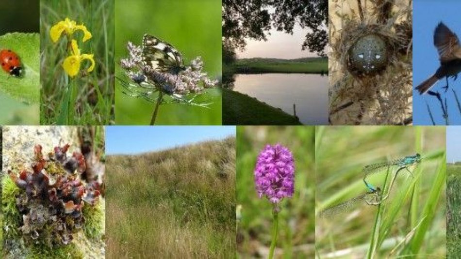Programme Golf pour la Biodiversité